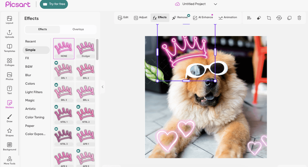 10 Best Picsart Alternatives in 2026